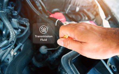 Toyota Transmission Fluid Check
